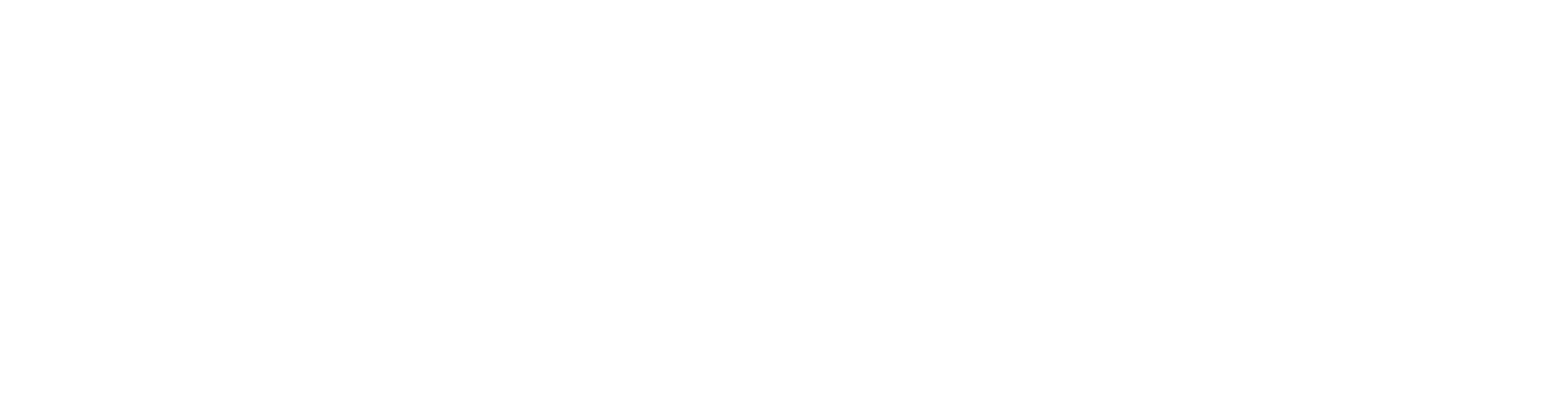 NYS Council on the Arts logo